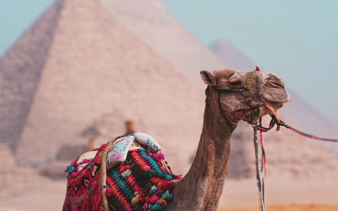The Ultimate Guide to Visiting the Giza Pyramids in 2025: A Must-See Wonder of the World